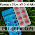 Kamagra Sildenafil Oral Jelly new14